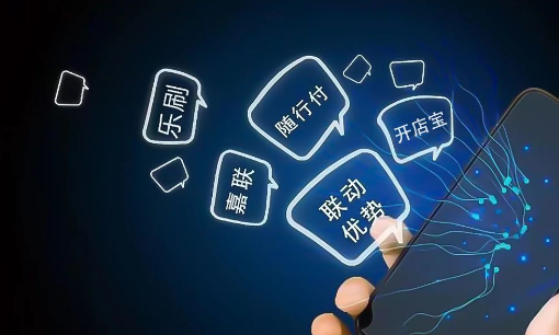 拉卡拉、嘉聯(lián)、國(guó)通、海科、合利寶、樂刷、隨行付、聯(lián)動(dòng)、開店寶年度業(yè)績(jī)盤點(diǎn)
